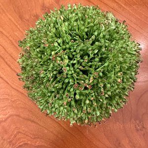 New Greenery Ball